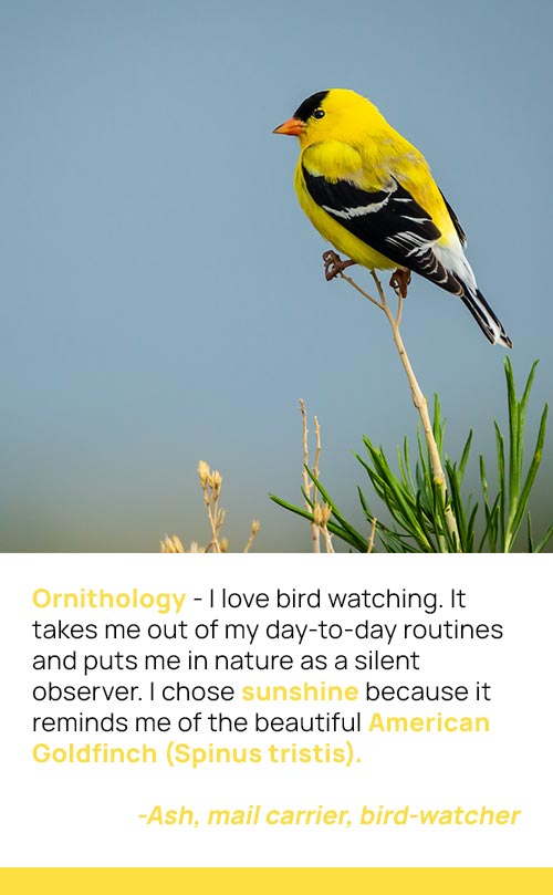 Testimonials_SunshineV1